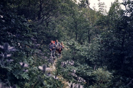 MICI-ILIJA-STIPE / VELEBIT